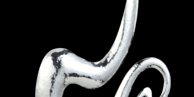 Philippe Hiquily Eden, 1990s Length 32 cm Courtesy of Didier Antiques, London