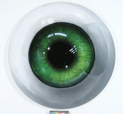 Plastic Eye (2008)