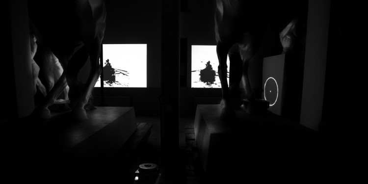 op_K10_n_012