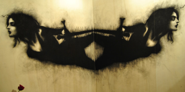 Omar Galliani, le Pareti del Di-Segno, LU.C.C.A. Museum