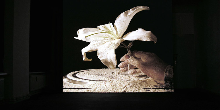 Filippos Tsitsopoulos-Flower of dust, video