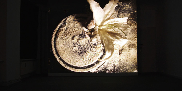 Filippos Tsitsopoulos-Flower of dust, Video