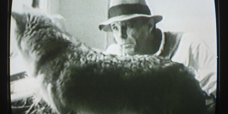 Joseph Beuys