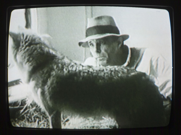 Joseph Beuys