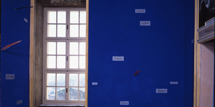 Lothar Baumgarten Yurupari - Stanza di Rheinsberg (Yurupari – Rheinsberg Room), 1984 pigmento blu cobalto, cartigli, piume, tempera su parete / cobalt pigment, strips of paper, bird feathers, tempera on wall 1252 x 380 cm Castello di Rivoli Museo d’Arte Contemporanea, Rivoli-Torino foto / photo Paolo Pellion