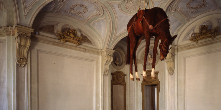 MAURIZIO CATTELAN: ALL Maurizio Cattelan Novecento, 1997 Taxidermied horse, leather saddle, rope, and pulley, 201.2 x 271.3 x 68.6 cm © Maurizio Cattelan Photo: Paolo Pellion di Persano, courtesy the artist