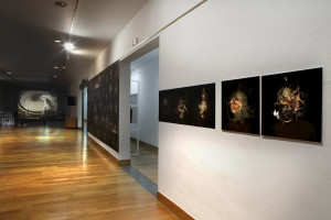 FILIPPOS TSITSOPOULOS_Gijo¦ün__20
