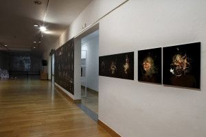 FILIPPOS TSITSOPOULOS_Gijo¦ün__8