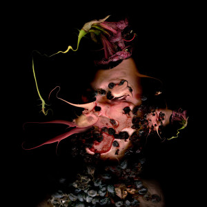 Filippos Tsitsopoulos - Roots -Kir Royal-Valencia