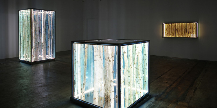 Birch cube, 2011 betulle, alluminio, vetro, luci al led, cm 100 x 100 x 100 - Courtesy dell’artista e Brand New Gallery, Milano