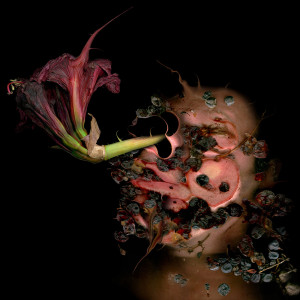 Filippos Tsitsopoulos - Roots -Kir Royal-Valencia