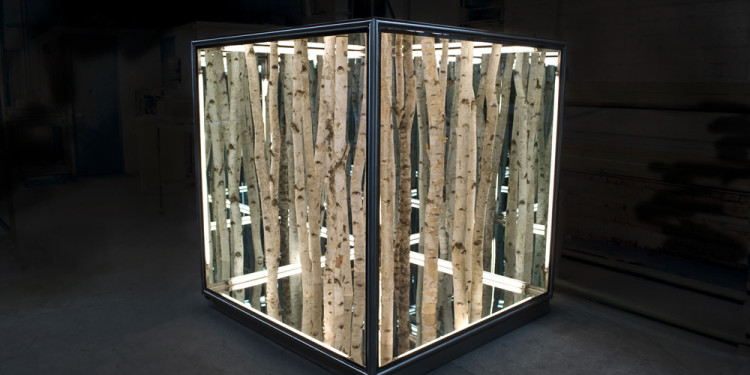 Birch cube, 2011 betulle, alluminio, vetro, luci al led, cm 100 x 100 x 100 - Courtesy dell’artista e Brand New Gallery, Milano