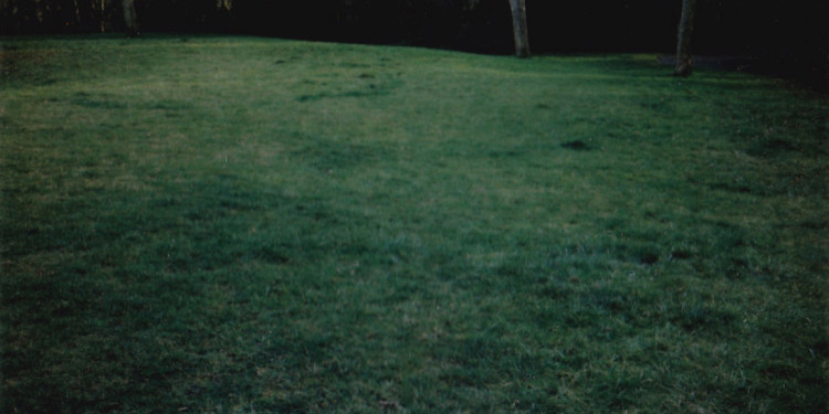 J. Benci-2012 “Il mistero del parco” (“The mystery of the park”)