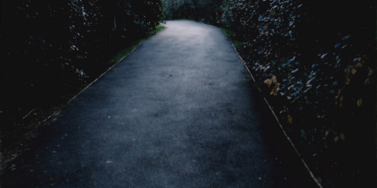 J. Benci-2012 “Il mistero del parco” (“The mystery of the park”)