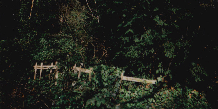 J. Benci-2012 “Il mistero del parco” (“The mystery of the park”)