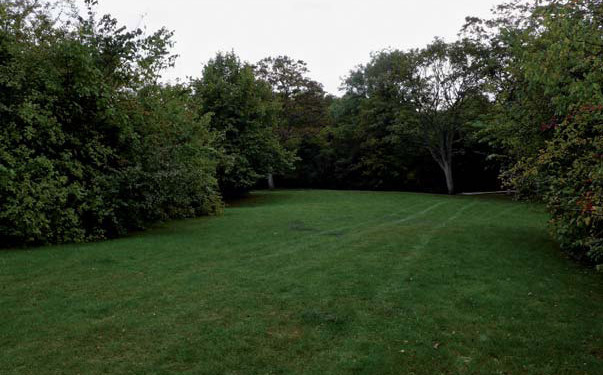 J. Benci “Il mistero del parco” (“The mystery of the park”)