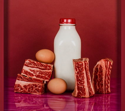 Elad Lassry Short Ribs, Eggs, 2012 C-Print, cornice dipinta cm 36,8x29,2x3,8 Courtesy Massimo De Carlo, Milano