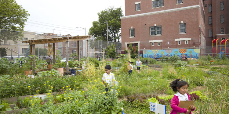 Edible Schoolyard New York City, WORKac Brooklyn, New York Photo Raymond Adams, courtesy WORKac