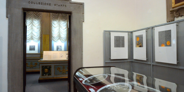 Allestimento della mostra di Donato Di Zio a cura di Gillo Dorfles, Biblioteca Marucelliana, Firenze 2012 Foto Paolo Mariani