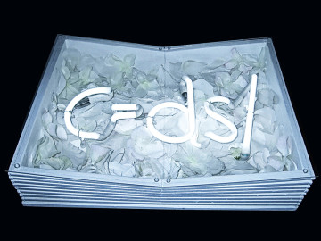 Vincenzo Ceccato - c = dsl, 2012