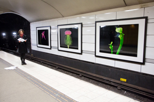 HELENE SCHMITZ Vues de l'installation des photos de HELENE SCHMITZ dans la station de métro Mariatorget, Stockholm, Suède - déc. 2012