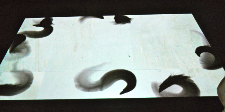 MIN-HA YANG, A Garden (Naturalistic), 2002, 2010, White sand, beam projector, computer, software, Dimension Variable