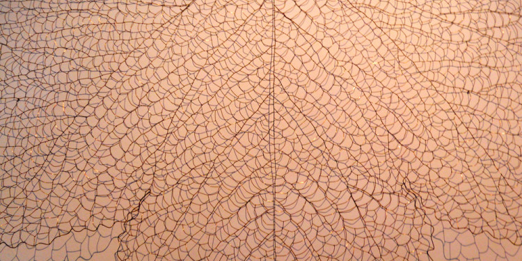 KWANG-HO JEONG, The Leaf 711210, 2007, Copper wire, 210 x 210 cm