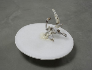 CRISTIANA PALANDRI, Oddity #2, 2008, cm 25 x 47 x 47, Bones, human hair, gauzes, feathers, wax, wood, iron