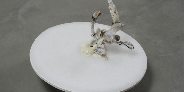 CRISTIANA PALANDRI, Oddity #2, 2008, cm 25 x 47 x 47, Bones, human hair, gauzes, feathers, wax, wood, iron