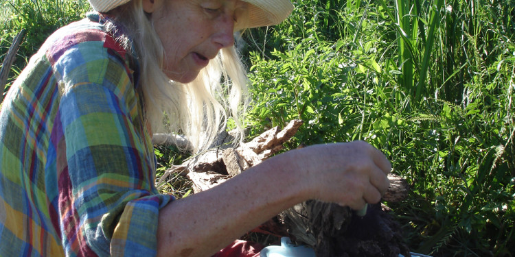 Jill Rock at work, May 13, 2013