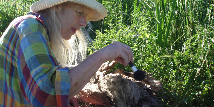 Jill Rock at work, May 13, 2013