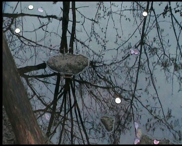 Frame da video "Il sacro Almone attende la rinascita" di Raffaella Losapio - Immagine del 27 marzo 2014, nel giorno della “Lavatio Matris Deum” nel giorno della “Lavatio Matris Deum” con Eleonora Del Brocco al Parco della Caffarella