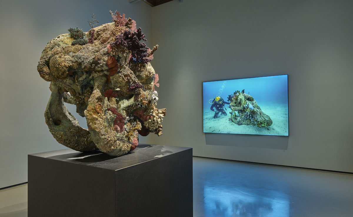 Room 5: (left to right) Damien Hirst, Skull of a Cyclops, Skull of a Cyclops Examined by a Diver (Photographed by Prudence Cuming Associates / Photographed by Christoph Gerigk) © Damien Hirst and Science Ltd. All rights reserved, DACS/SIAE 2017